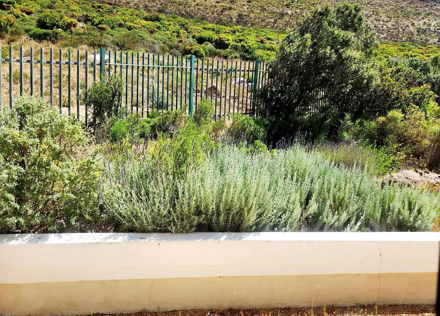 Bux Seascape Villa Cape Town Holiday home