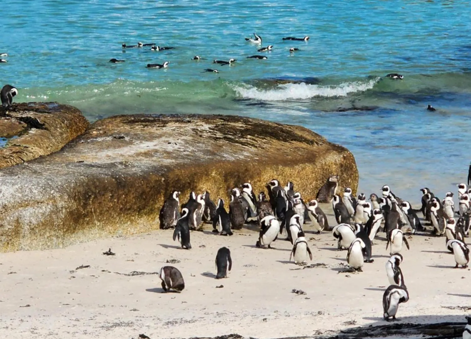 Bux Seascape Villa Cape Town 0*,